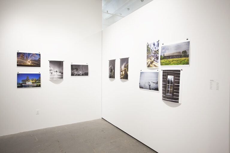 An installation image containing multiple artworks