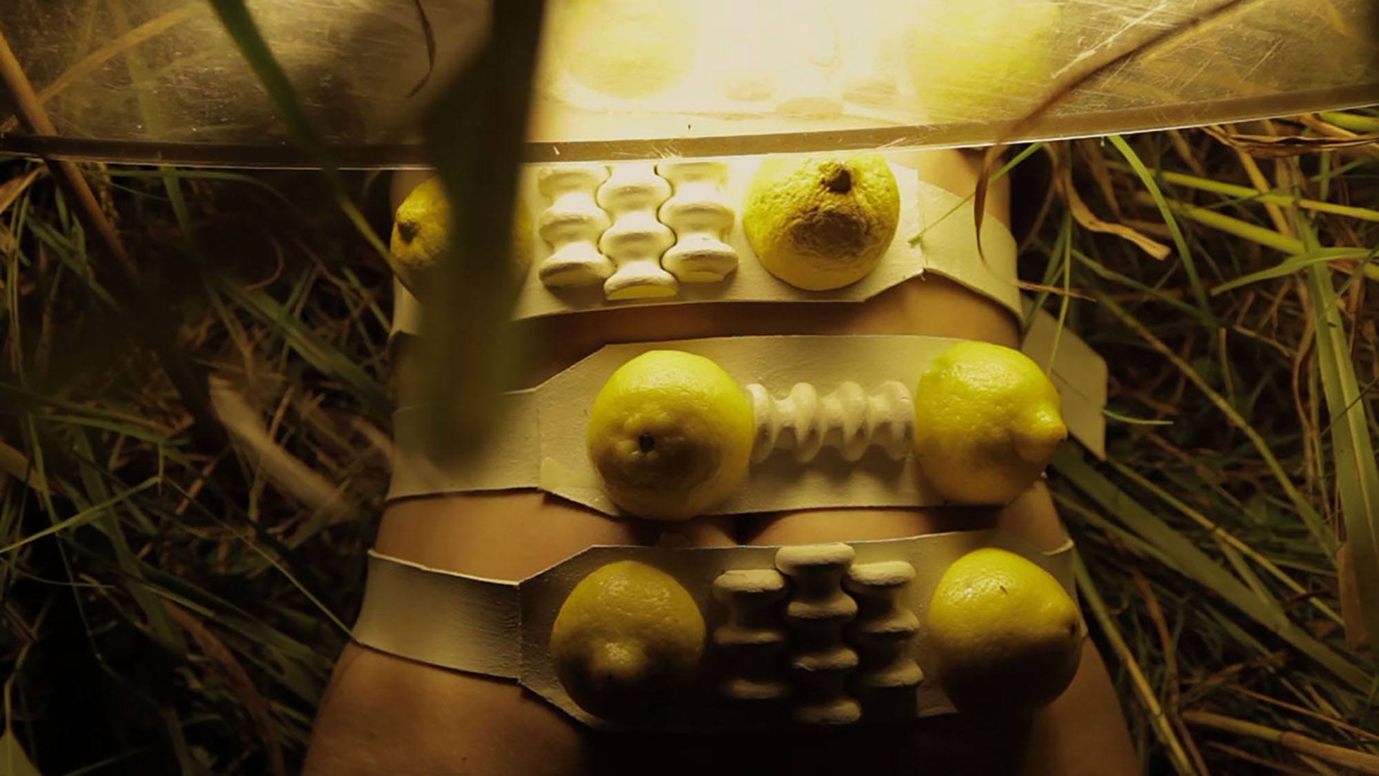 A person's torso laying in grass with belts containing half lemons