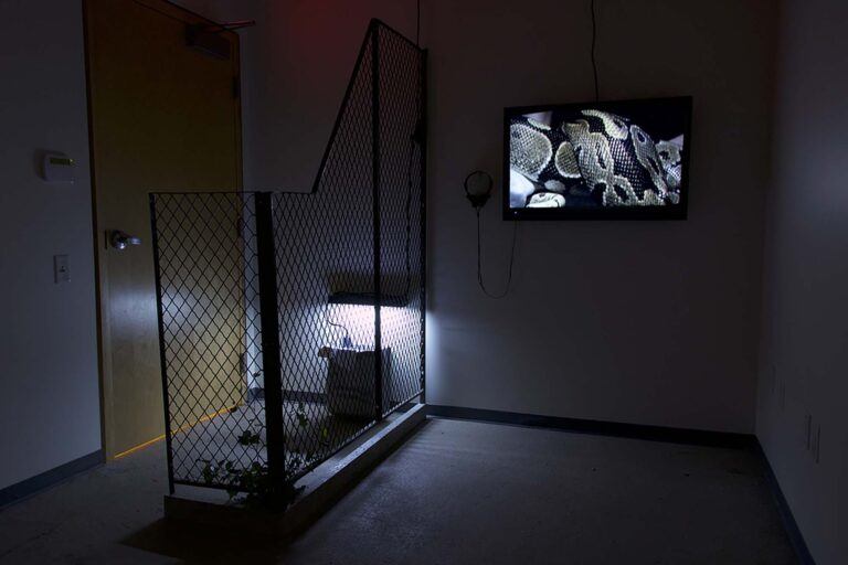 A room interior with a partial wire fence and a monitor showing a snake