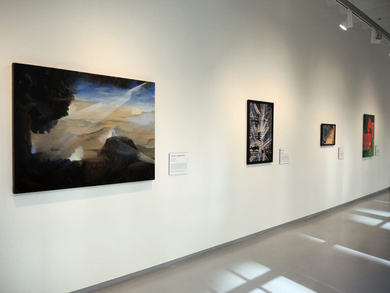 An installation image showing multiple works