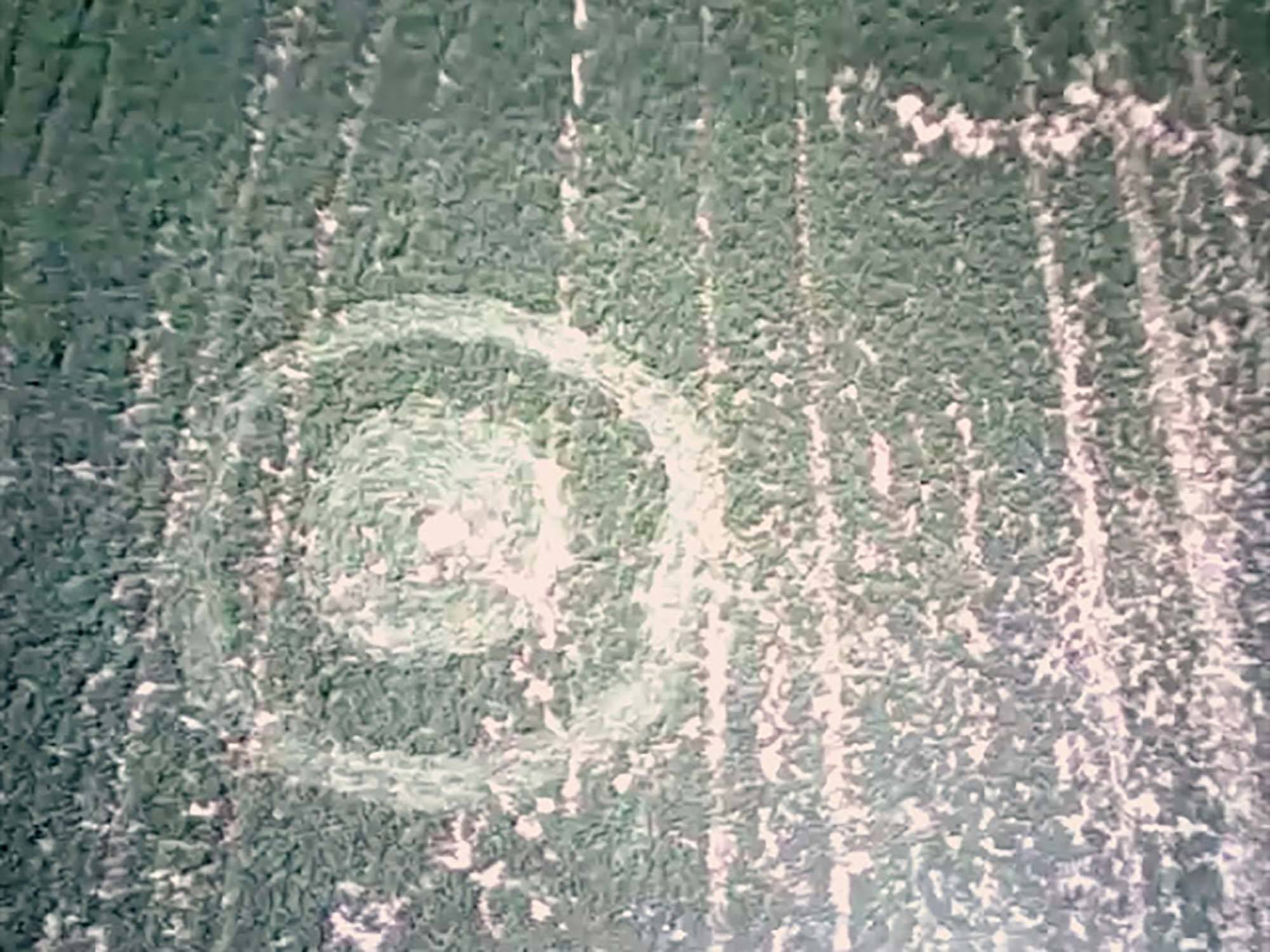 An image of a crop circle