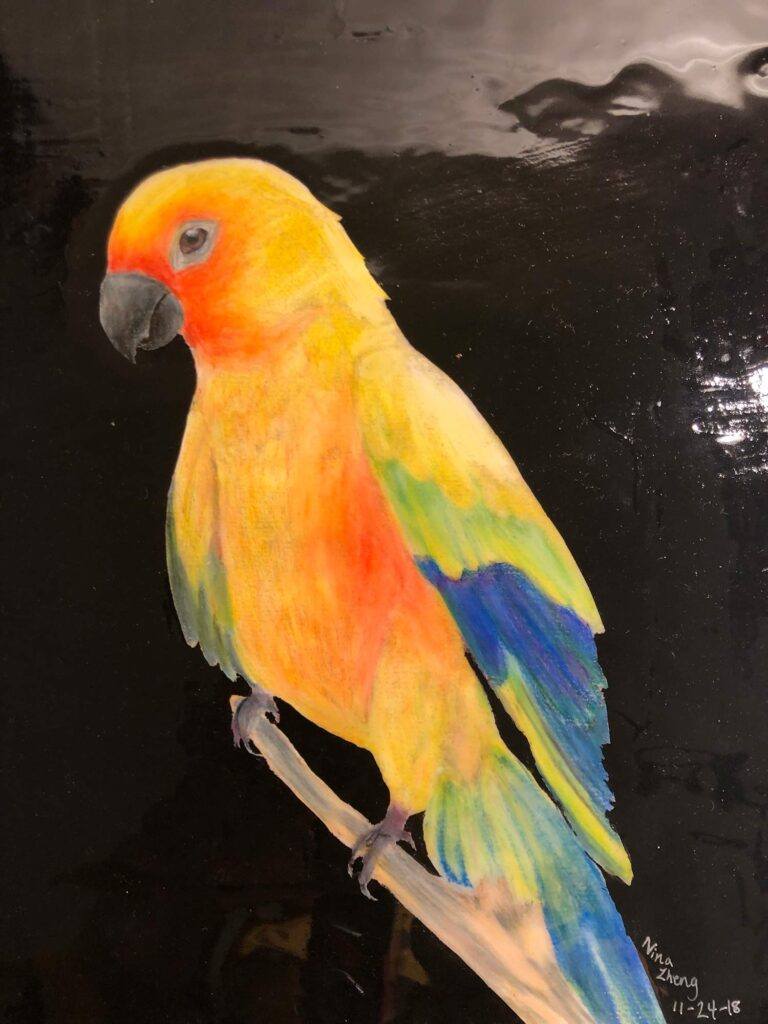 A painting of a colorful bird on a dark background