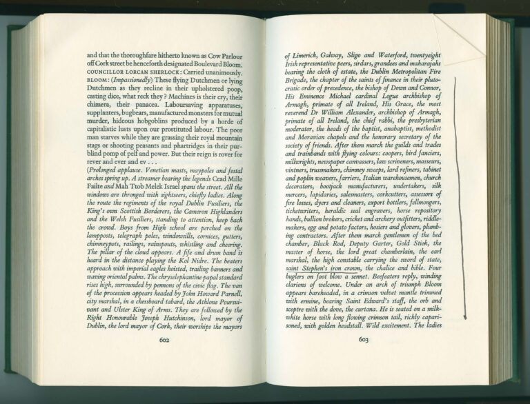 a page from the book Ulysses with an underline beneath saint Stephen's iron crown