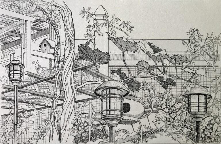 A drawing of a garden