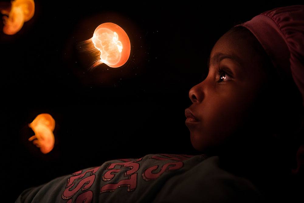 A child looking at jelly fish in darkness