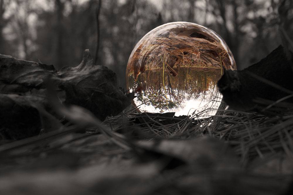 A clear reflective orb in a forest