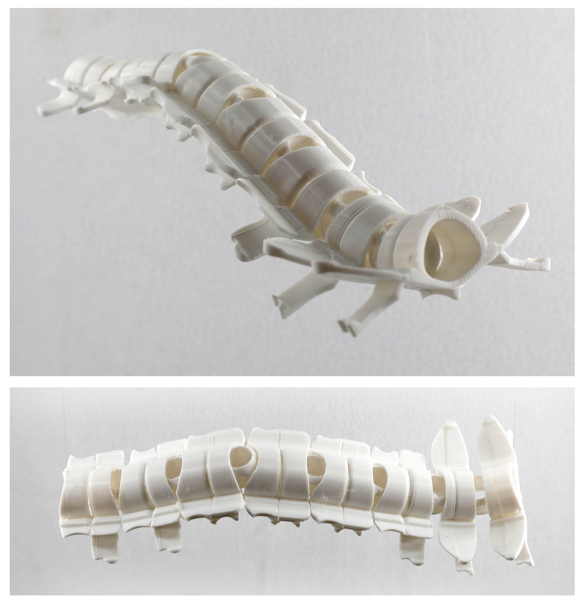 A sculpture resembling a spine