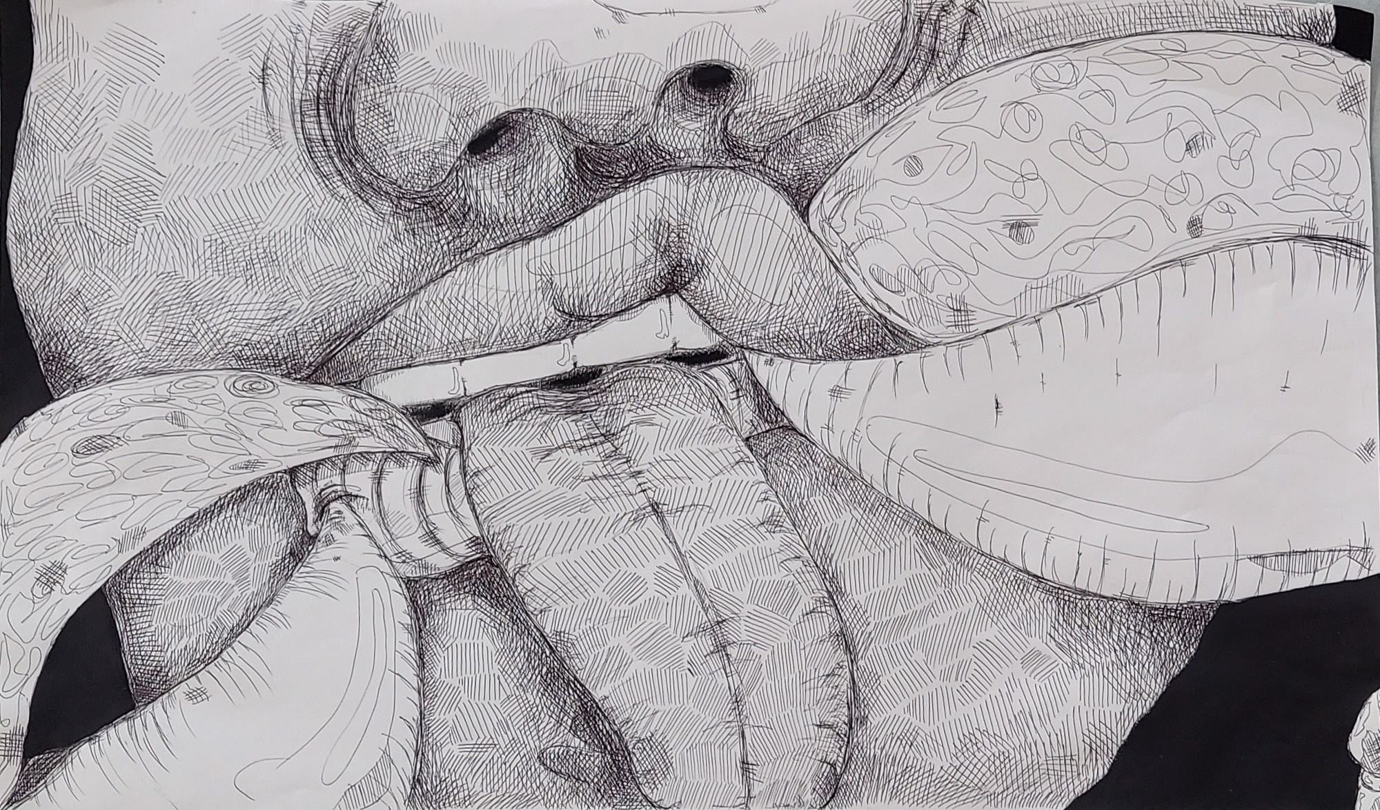On the Tip of My Tongue