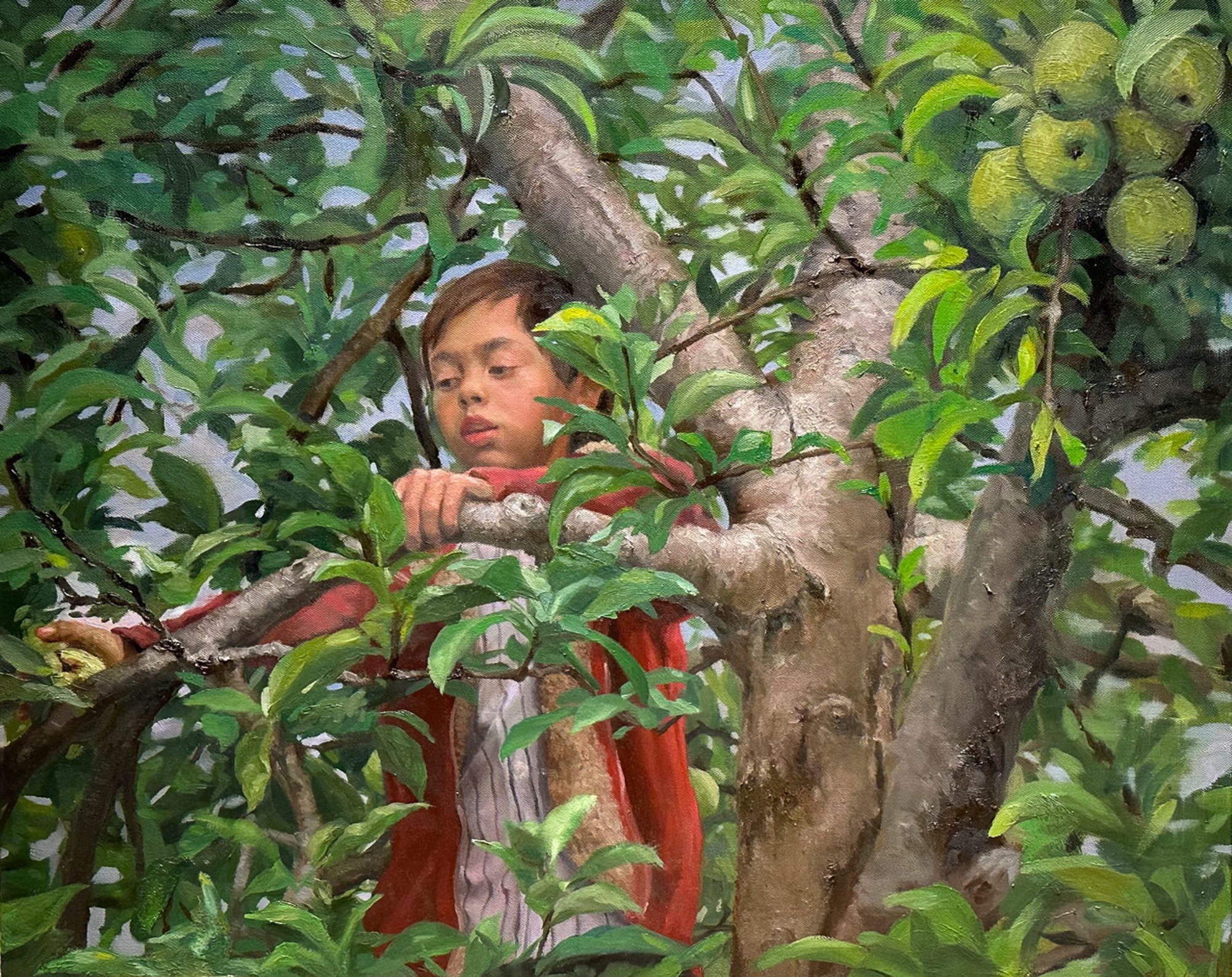 Apple Tree