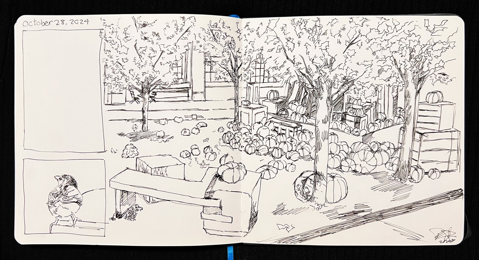Landscape Study